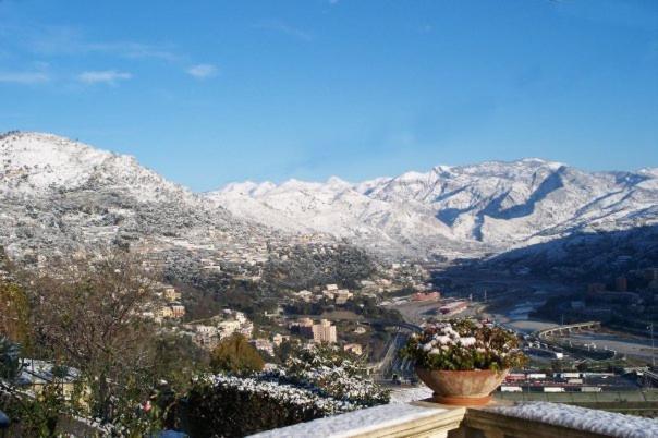La Tana Del Tasso Ventimiglia Bed & Breakfast Exterior photo