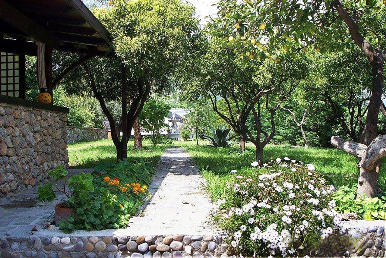 La Tana Del Tasso Ventimiglia Bed & Breakfast Exterior photo